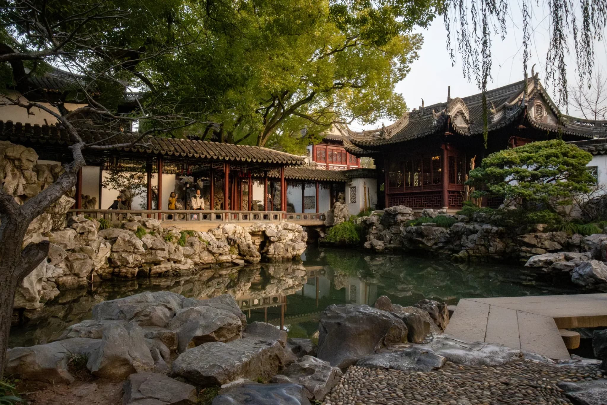 Pond Nestled Amongst Trees in an Oriential Garden