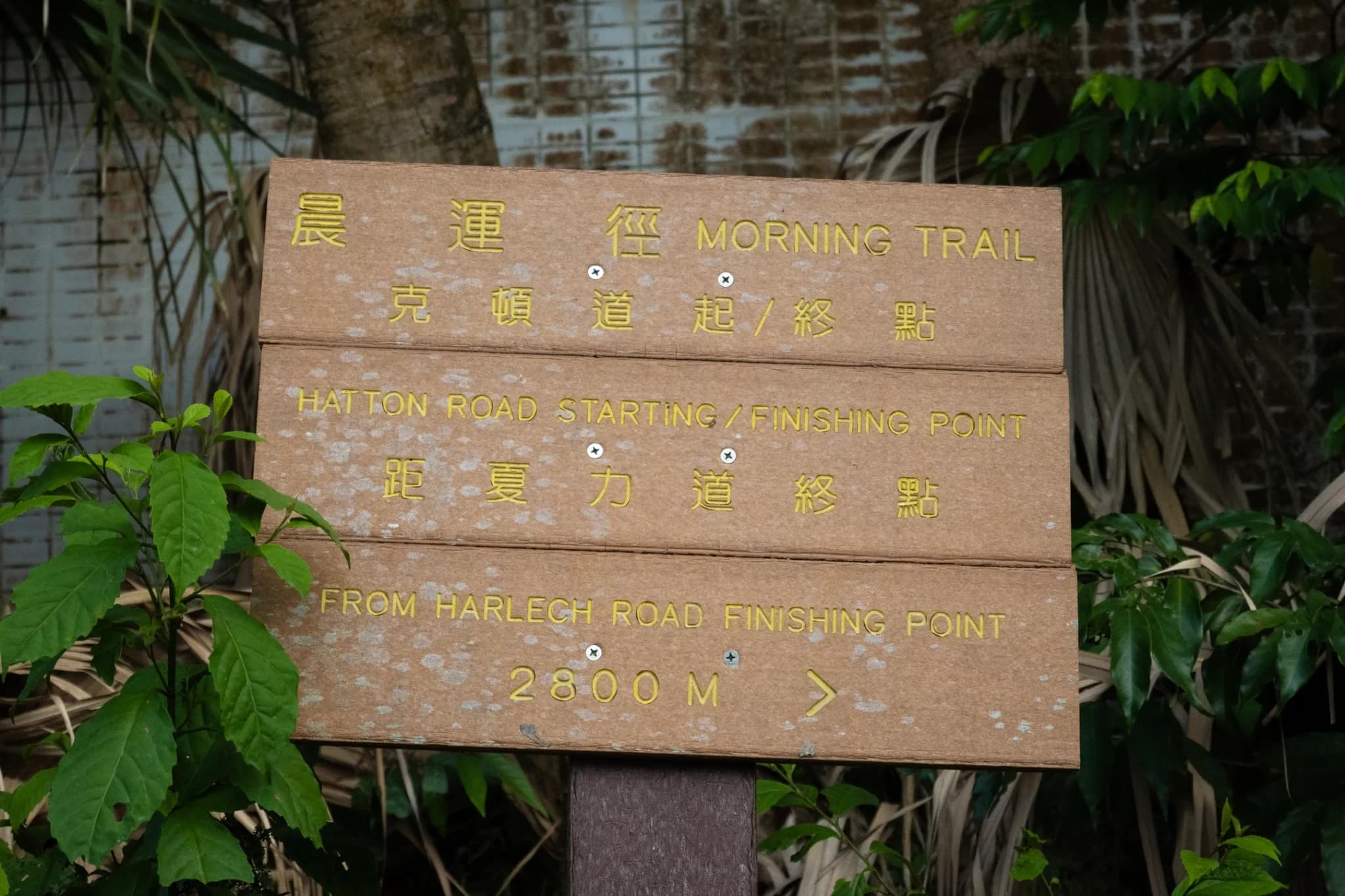 DSC_3998-2.webp
